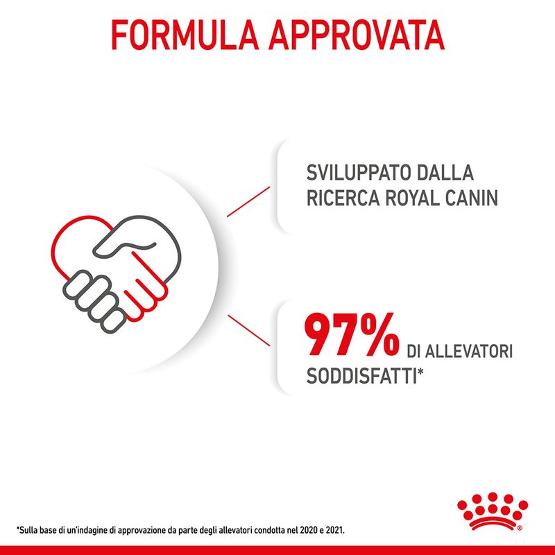 Zooplus Royal Canin Mini Starter Mother & Babydog Crocchette cane I Più Venduti