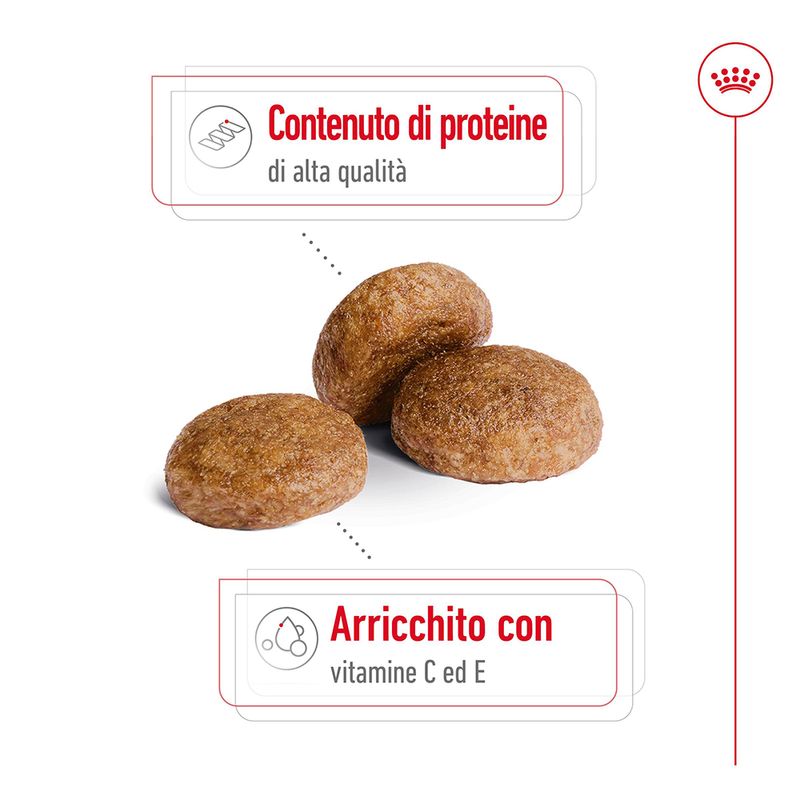 Zooplus Royal Canin Medium Adult 7+ Crocchette per cane Vendite Flash