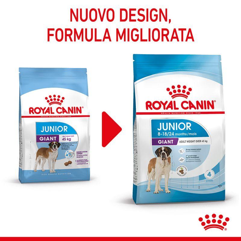 Zooplus Royal Canin Giant Junior Crocchette cane Negozio