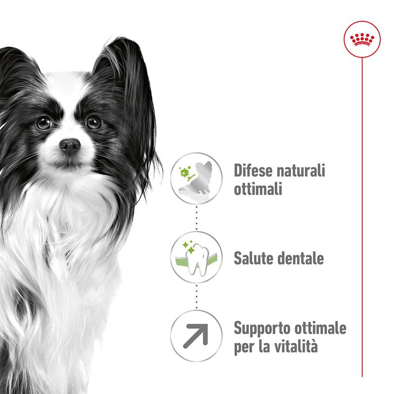 Zooplus Royal Canin X-Small Adult 8+ Crocchette per cane In Saldo