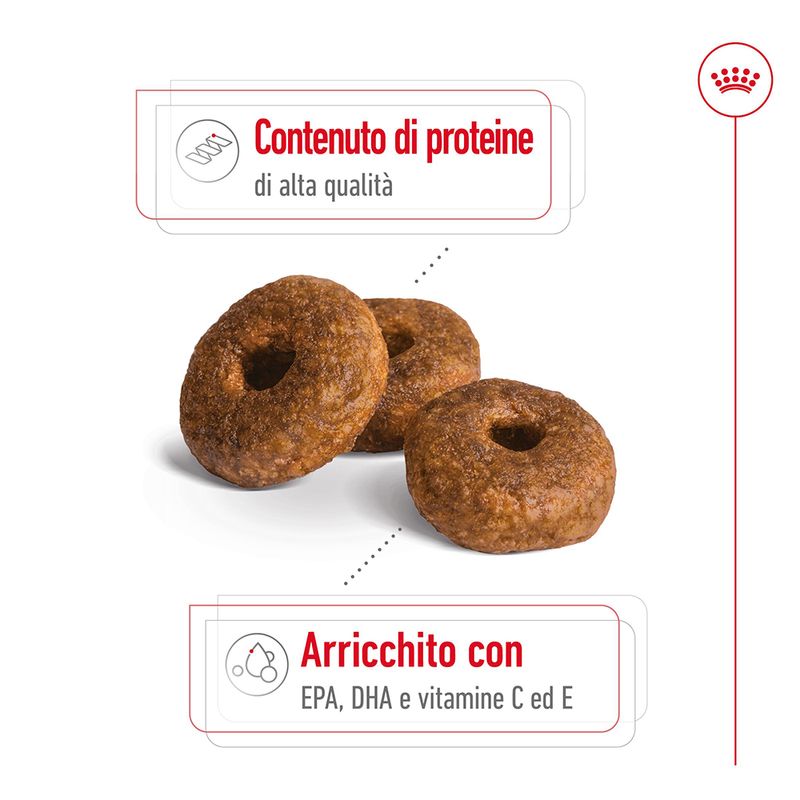 Zooplus Royal Canin Medium Ageing 10+ Crocchette per cane Nuova