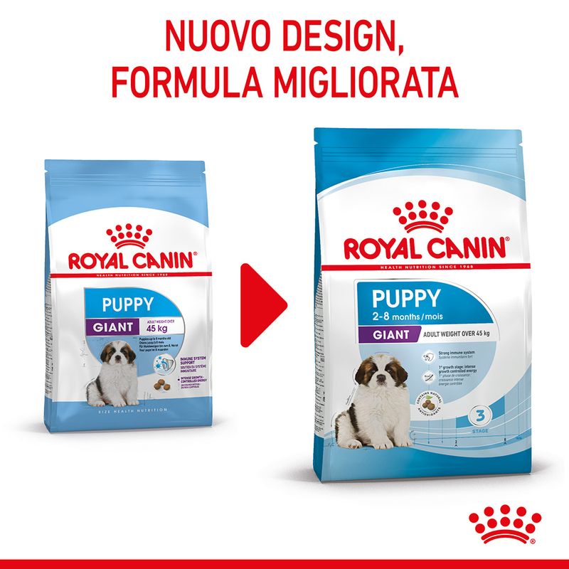 Zooplus Royal Canin Giant Puppy Crocchette per cane Moda