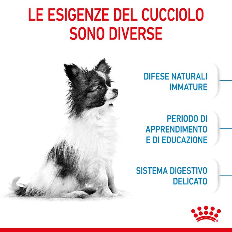 Zooplus Royal Canin X-Small Puppy Crocchette per cane 2025