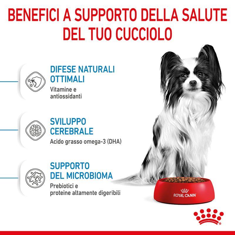 Zooplus Royal Canin X-Small Puppy Crocchette per cane 2025