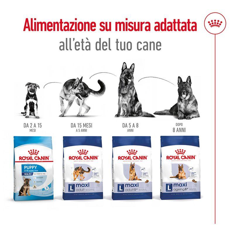 Zooplus Royal Canin Maxi Mature Adult 5+ Crocchette per cane Italy