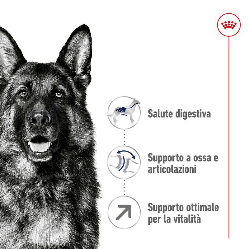 Zooplus Royal Canin Maxi Mature Adult 5+ Crocchette per cane Italy