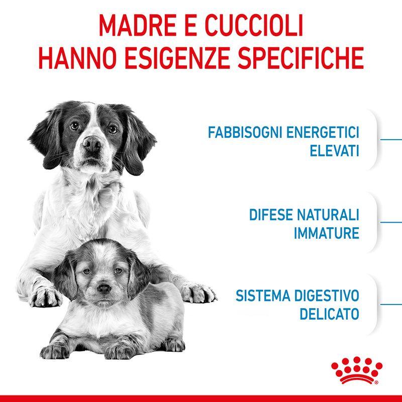Zooplus Royal Canin Medium Starter Mother & Babydog Crocchette per cane Italia