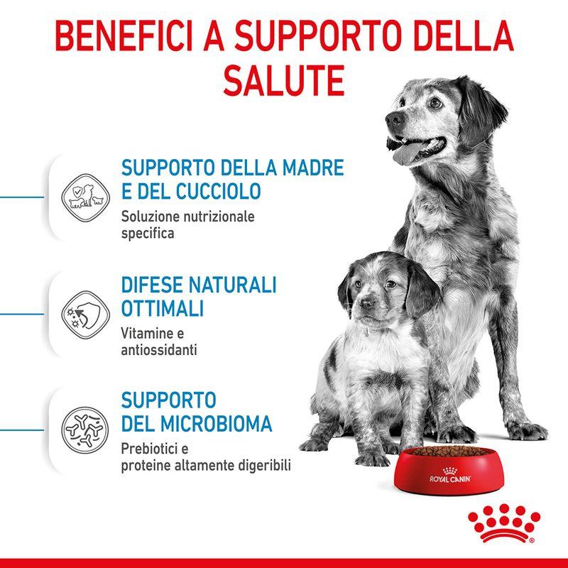 Zooplus Royal Canin Medium Starter Mother & Babydog Crocchette per cane Italia