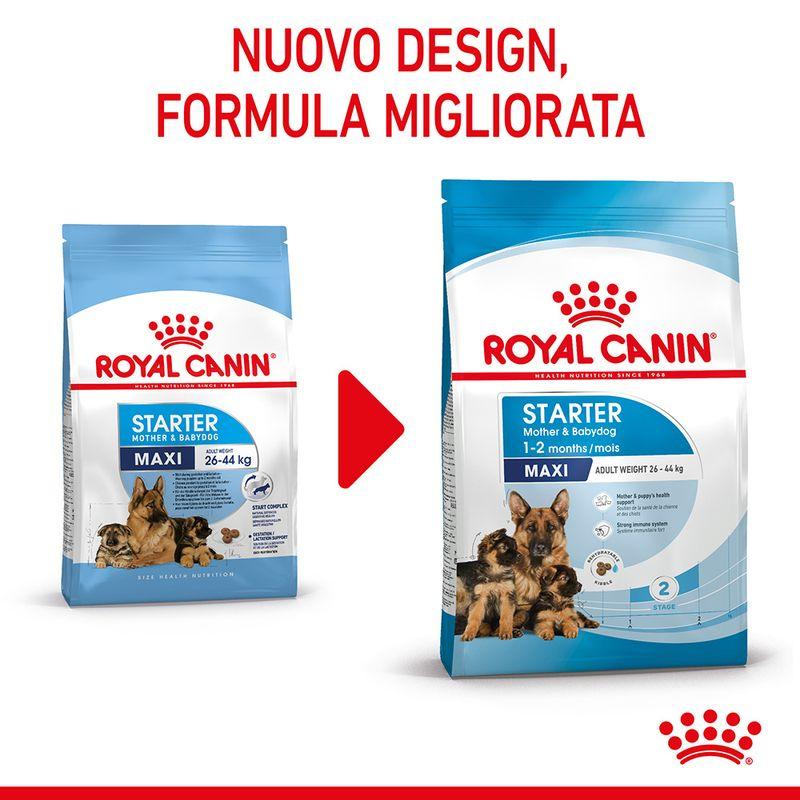 Zooplus Royal Canin Maxi Starter Mother & Babydog Crocchette per cane 2025