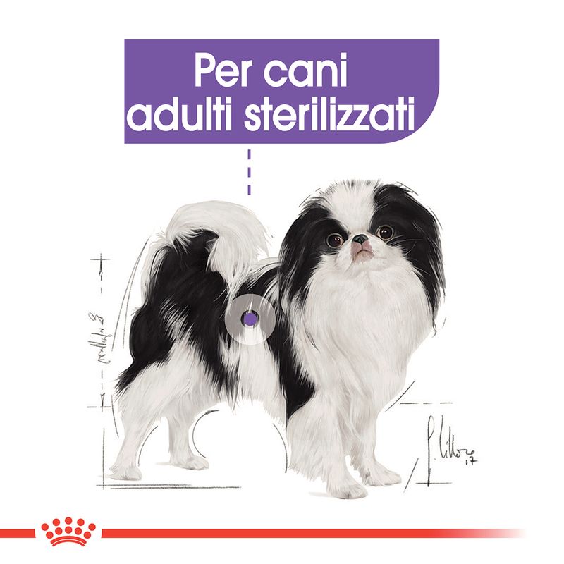 Zooplus Royal Canin X-Small Sterilised Crocchette per cane In Linea