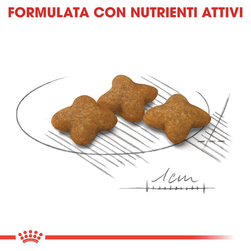 Zooplus Royal Canin X-Small Sterilised Crocchette per cane In Linea