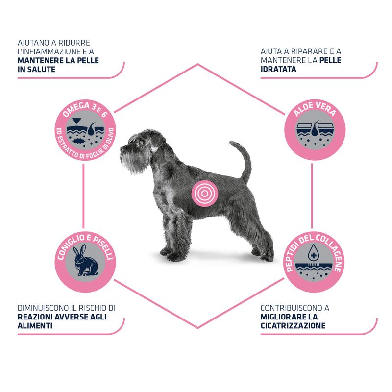 Zooplus Advance Veterinary Diets Atopic con Coniglio e Piselli Vendita Economica