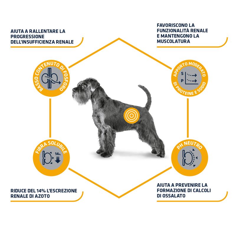 Zooplus Advance Veterinary Diets Renal Moda