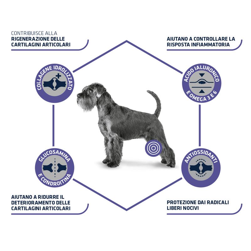 Zooplus Advance Veterinary Diets Articular Care Nuovo