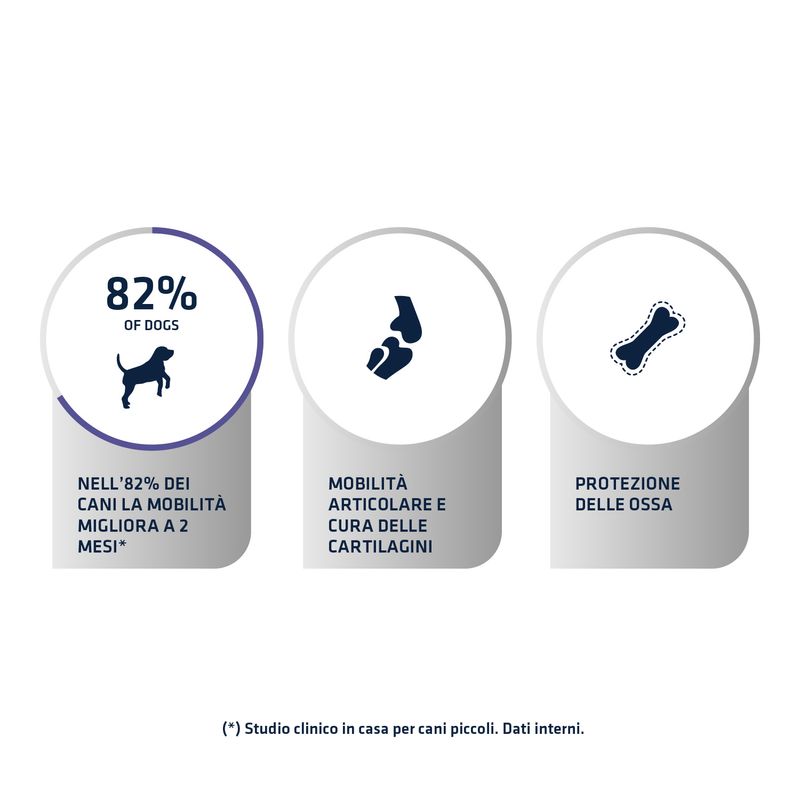 Zooplus Advance Veterinary Diets Articular Care Nuovo