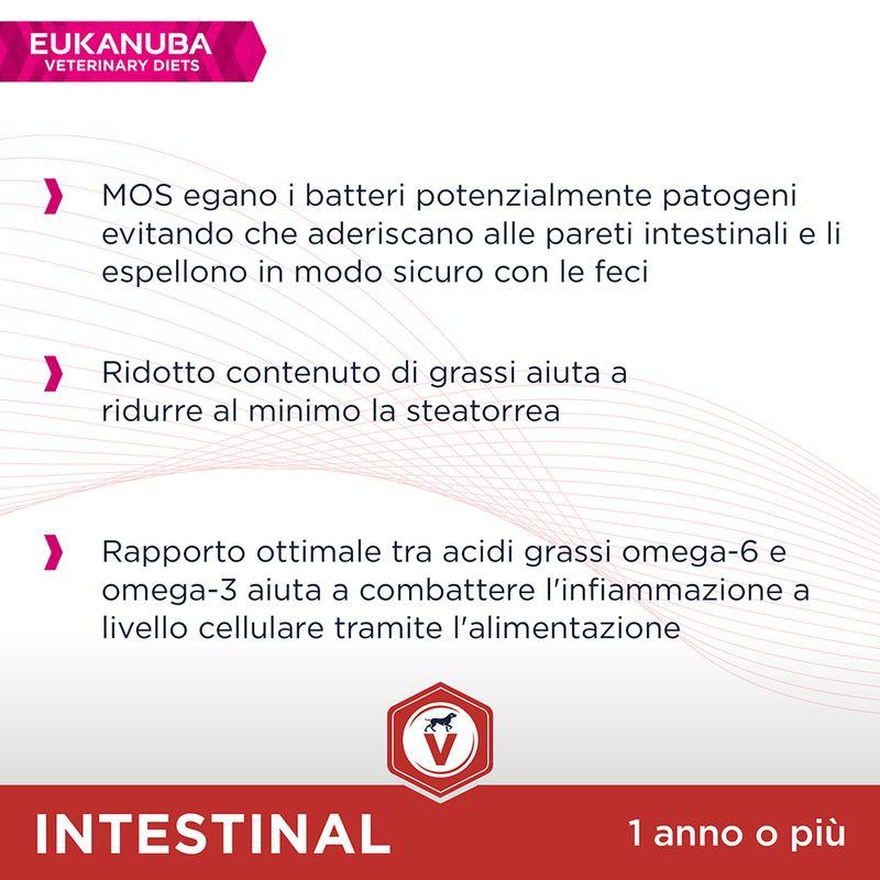 Zooplus Eukanuba Veterinary Diets Adult Intestinal Crocchette per cani Vendita