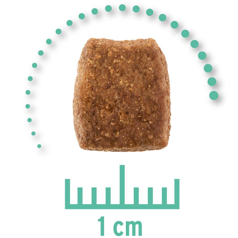 Zooplus Concept for Life Veterinary Diet Hypoallergenic Insect Crocchette per cani Fino Al -60%