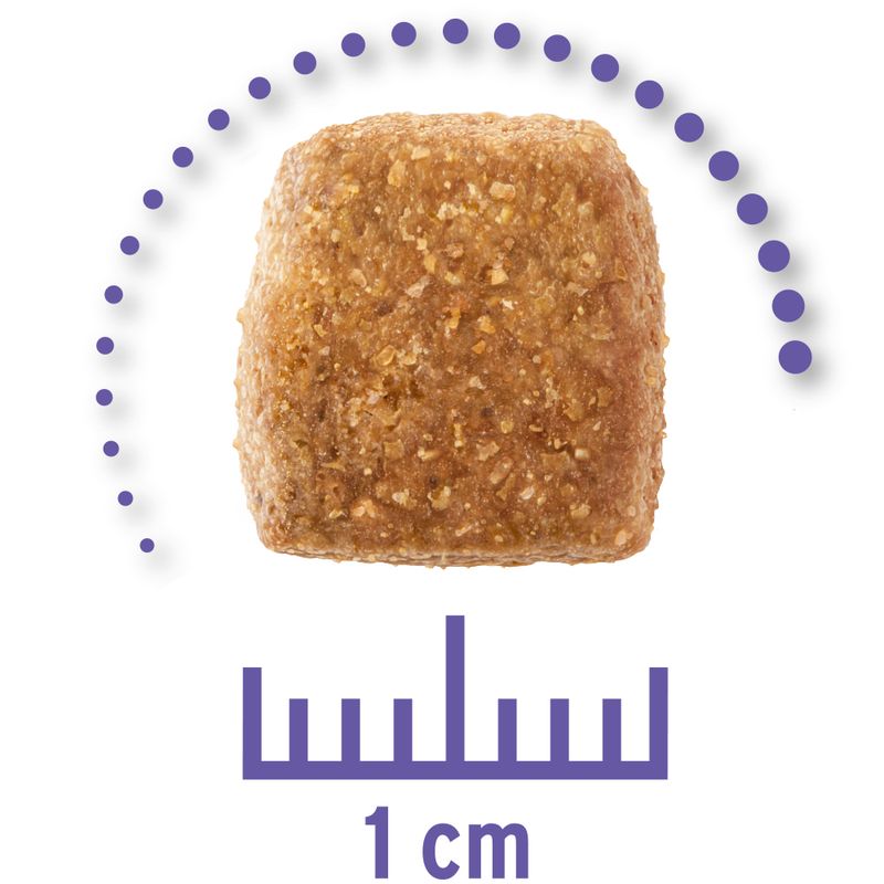 Zooplus Concept for Life Veterinary Diet Renal Crocchette per cane Shopping Online