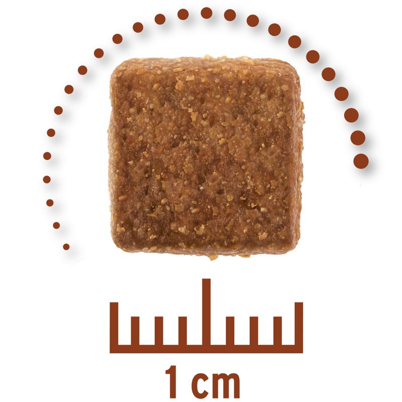 Zooplus Concept for Life Veterinary Diet Gastro Intestinal Crocchette per cane Affare Del Giorno