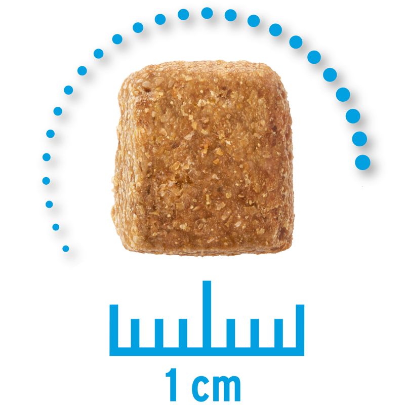Zooplus Concept for Life Veterinary Diet Weight Control Crocchette per cane Presa