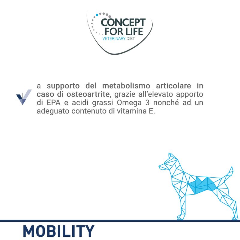 Zooplus Concept for Life Veterinary Diet Mobility Crocchette per cane Offerta