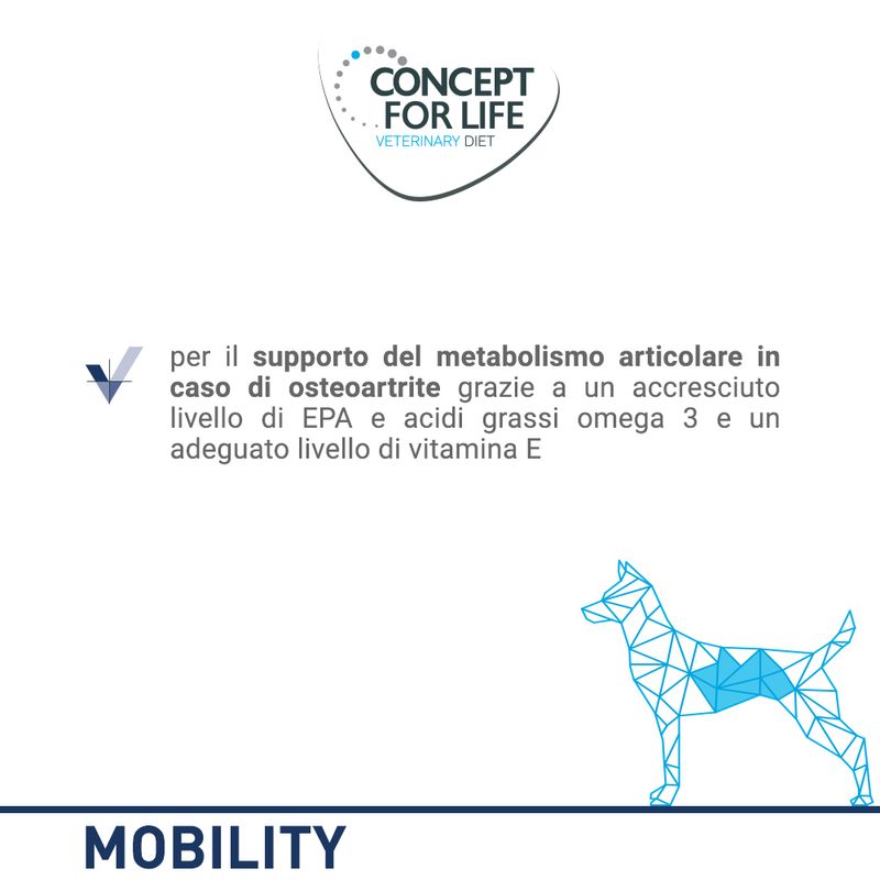 Zooplus Concept for Life Veterinary Diet Mobility Alimento umido per cani Economico
