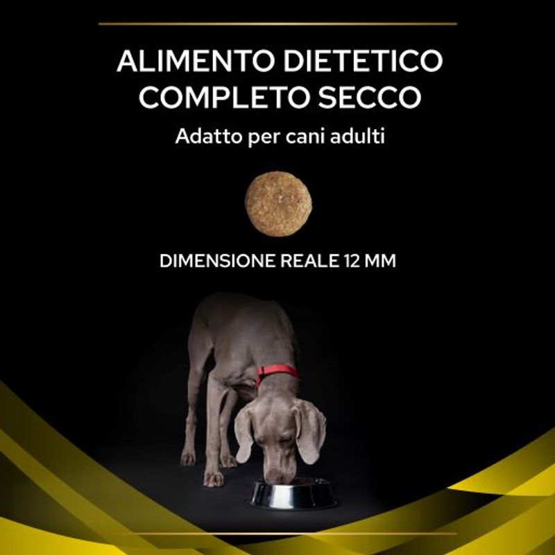Zooplus PURINA PRO PLAN NC Neurocare Crocchette per cane Vendita
