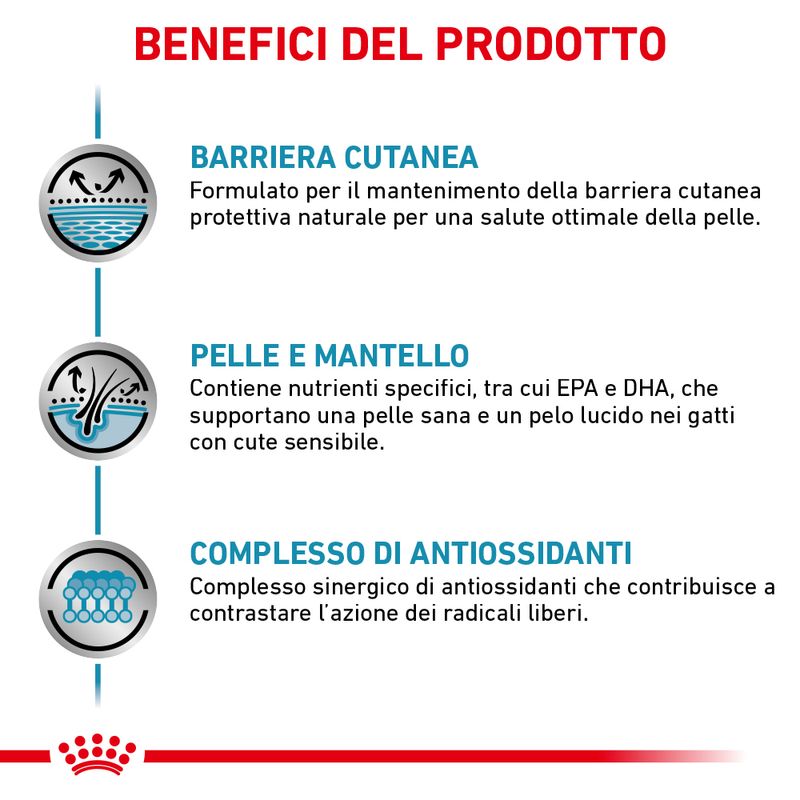 Zooplus Royal Canin Skin & Coat Feline Veterinary umido gatto Fino Al -60%