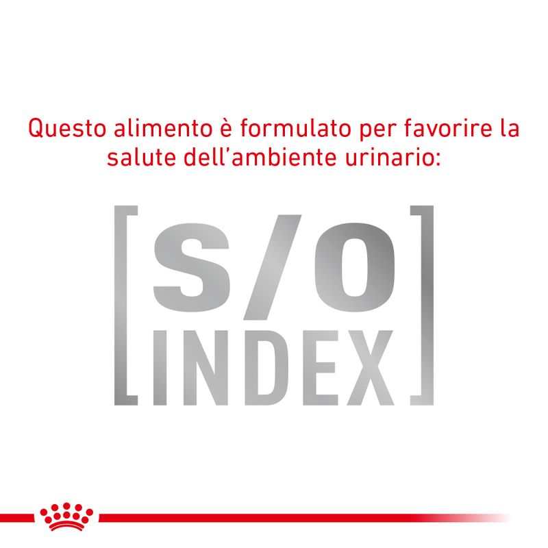 Zooplus Royal Canin Skin & Coat Feline Veterinary umido gatto Fino Al -60%