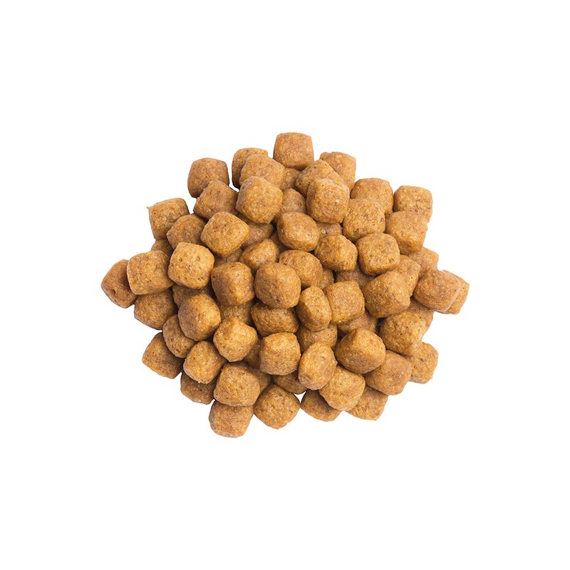 Zooplus PURINA PRO PLAN Veterinary Diets UR ST/OX Urinary Pesce dell'Oceano In Saldo