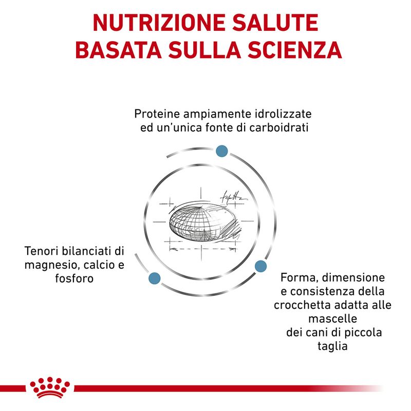 Zooplus Royal Canin Hypoallergenic Small Dogs Canine Veterinary Crocchette per cane Discount Store per i nuovi prodotti