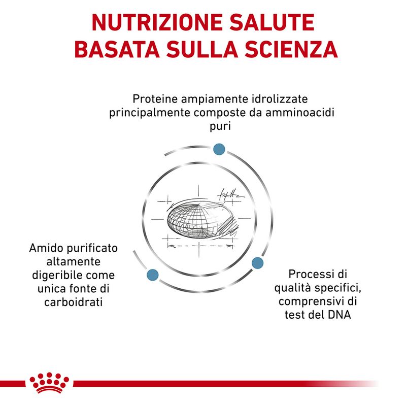 Zooplus Royal Canin Anallergenic Canine Veterinary Trasporto libero internazionale