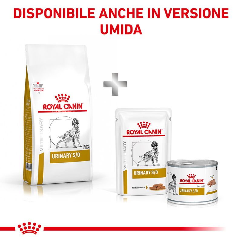 Zooplus Royal Canin Urinary S/O Veterinary Crocchette cane Limitato a 3 giorni