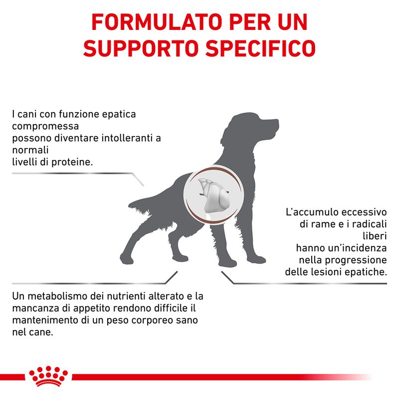 Zooplus Royal Canin Hepatic Canine Veterinary Crocchette per cane Black Friday Prezzi