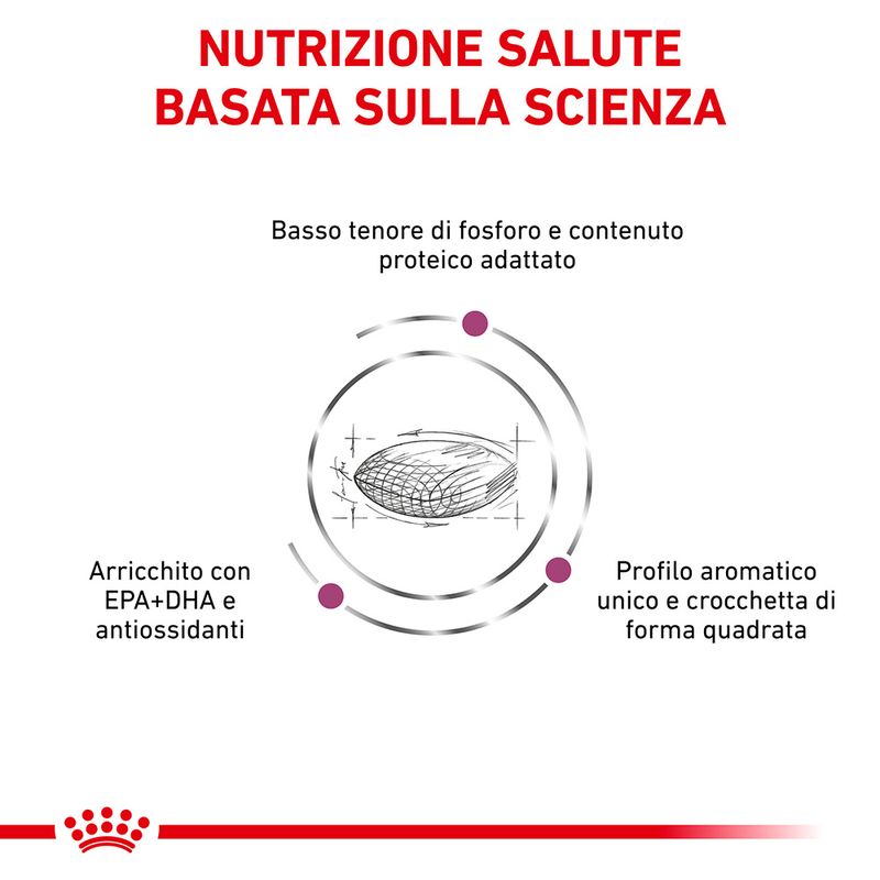 Zooplus Royal Canin Renal Canine Veterinary Crocchette per cane Duty-free