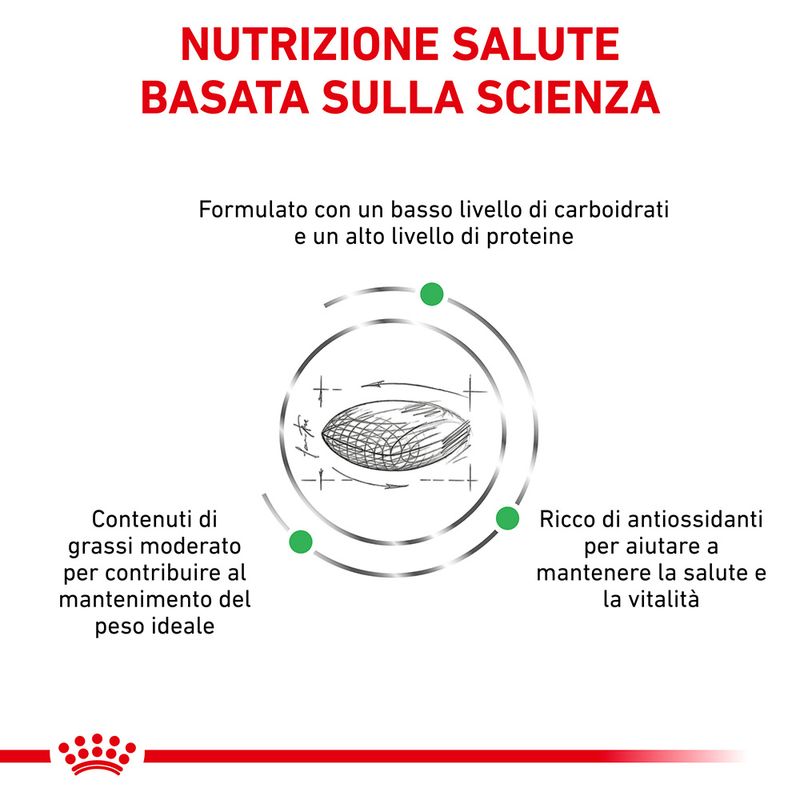 Zooplus Royal Canin Diabetic Veterinary crocchette cane 50% di sconto per tempo limitato