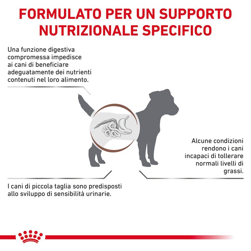 Zooplus Royal Canin Veterinary Canine Gastrointestinal Low Fat Small Dog Sconti questo mese