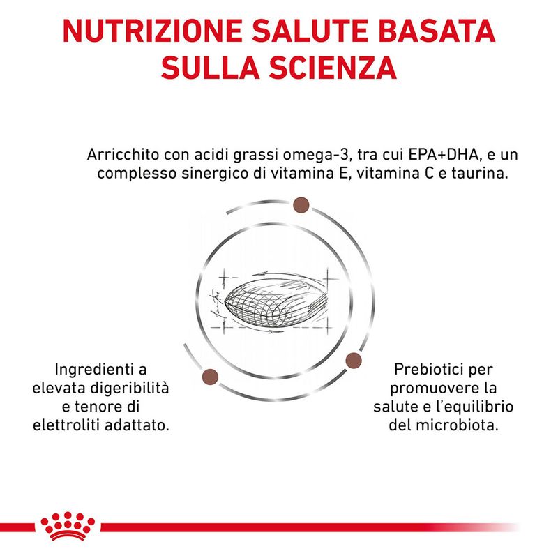 Zooplus Royal Canin Veterinary Canine Gastrointestinal Low Fat Small Dog Sconti questo mese