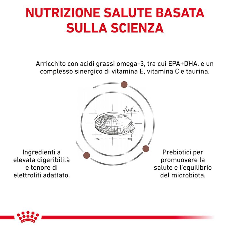 Zooplus Royal Canin Gastrointestinal High Fibre Veterinary Crocchette cane Italy