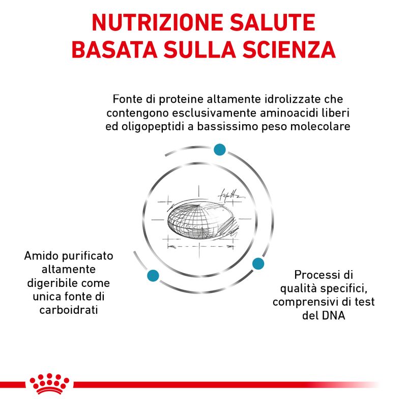 Zooplus Royal Canin Anallergenic Canine Small Dog Veterinary Crocchette per cane Italia