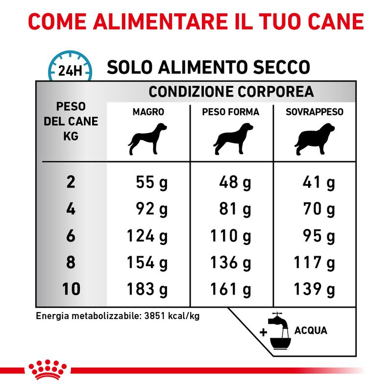 Zooplus Royal Canin Anallergenic Canine Small Dog Veterinary Crocchette per cane Italia