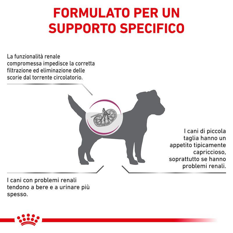 Zooplus Royal Canin Renal Small Canine Veterinary Crocchette per cani In Linea