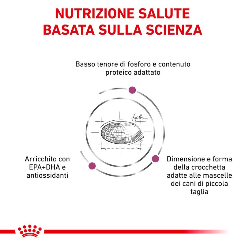 Zooplus Royal Canin Renal Small Canine Veterinary Crocchette per cani In Linea