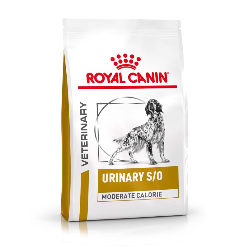 Zooplus Royal Canin Urinary S/O Moderate Calorie Canine Veterinary Crocchette cane