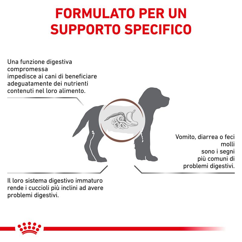 Zooplus Royal Canin Gastrointestinal Puppy Veterinary Crocchette per cane Qualità
