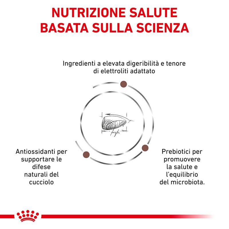 Zooplus Royal Canin Gastrointestinal Puppy Veterinary Crocchette per cane Qualità