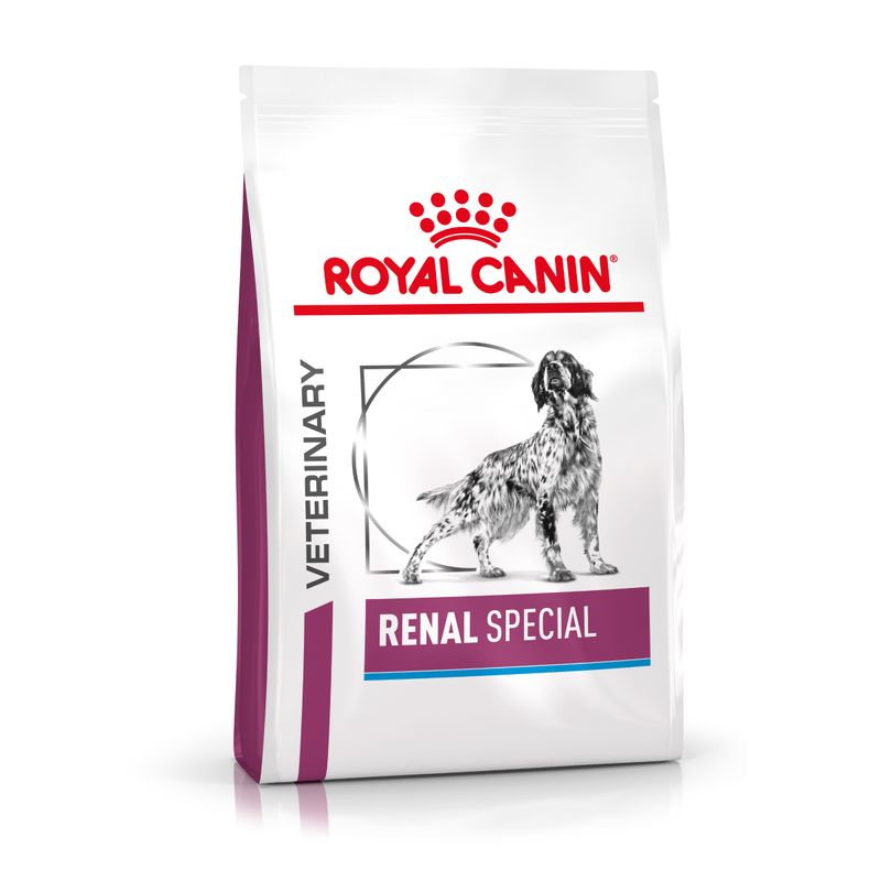 Zooplus Royal Canin Renal Special Canine Veterinary Crocchette per cani