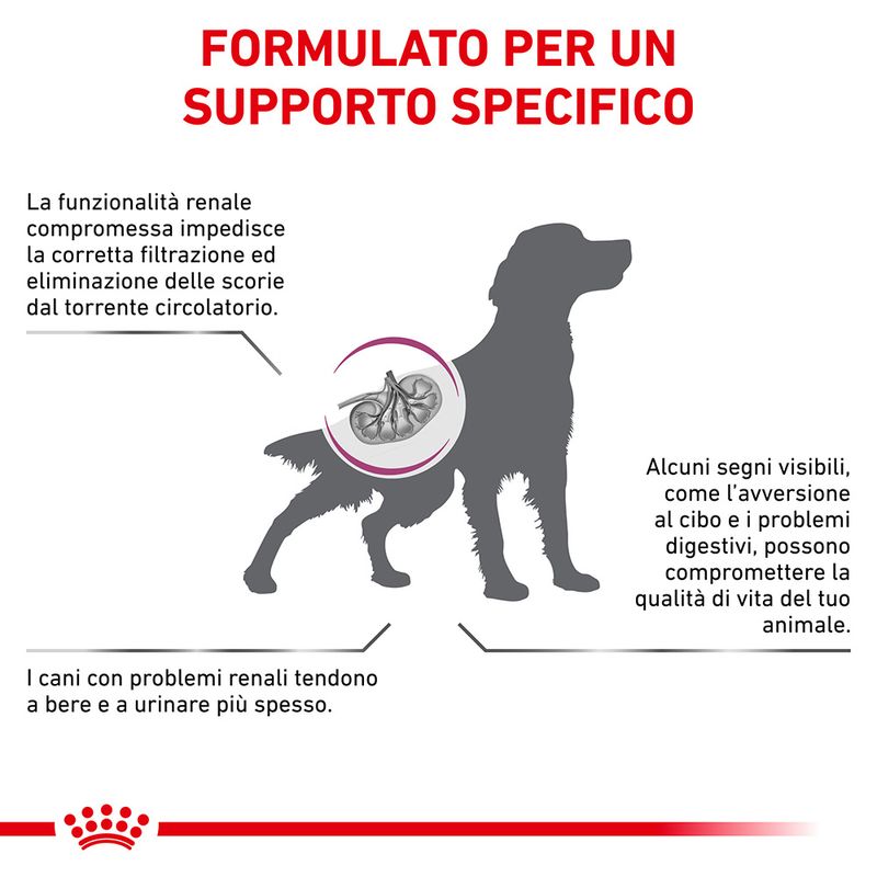 Zooplus Royal Canin Renal Special Canine Veterinary Crocchette per cani Promozione
