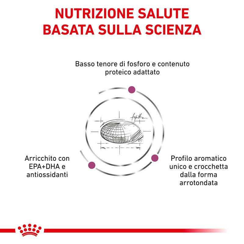 Zooplus Royal Canin Renal Special Canine Veterinary Crocchette per cani Promozione