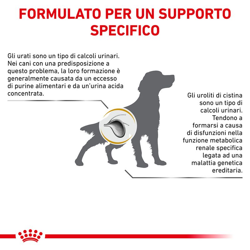 Zooplus Royal Canin Urinary U/C Canine Veterinary Crocchette per cane Spedizione Gratuita